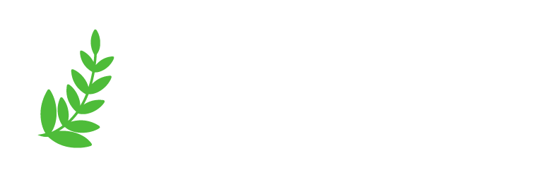 Veronica Design Studio